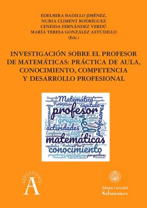 Imagen de portada del libro Investigación sobre el profesor de matemáticas