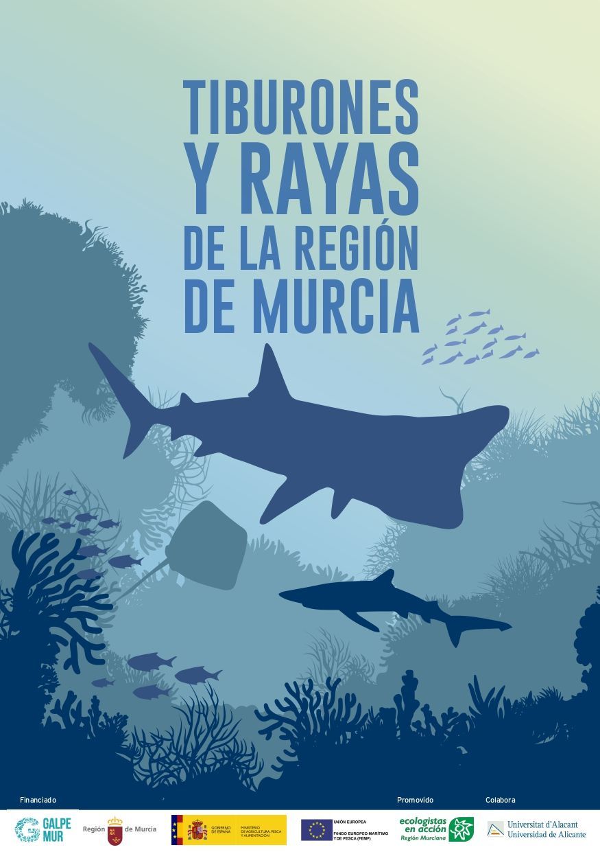 Imagen de portada del libro Tiburones y rayas de la Región de Murcia